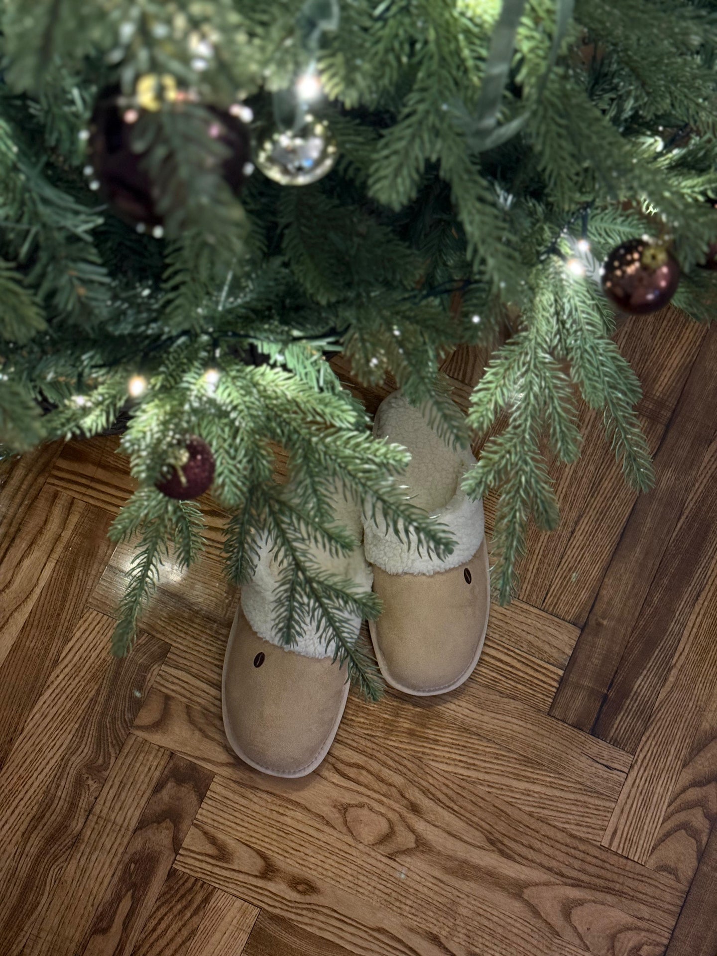 Ženske papuče Cappuccino